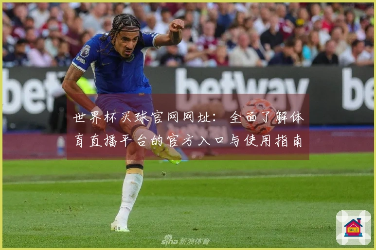世界杯买球官网网址：全面了解体育直播平台的官方入口与使用指南