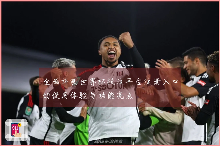 全面评测世界杯投注平台注册入口的使用体验与功能亮点