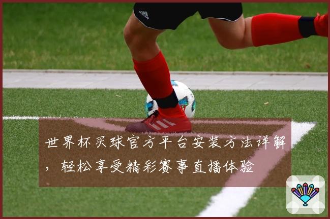 世界杯买球官方平台安装方法详解，轻松享受精彩赛事直播体验