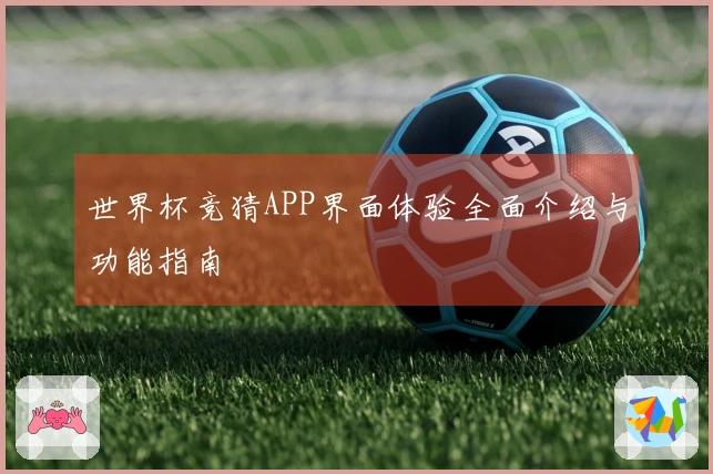 世界杯竞猜APP界面体验全面介绍与功能指南