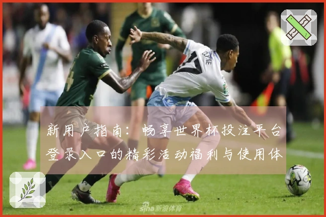 新用户指南:畅享世界杯投注平台登录入口的精彩活动福利与使用体验
